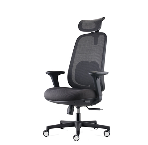 D269H Black