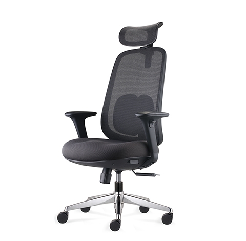 D269H Black